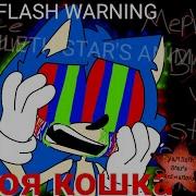Моя Кошка Meme