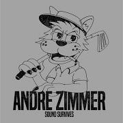 Sound Survives Andre Zimmer
