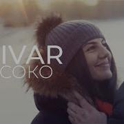 Высоко Anivar