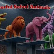 Abc Los Animales