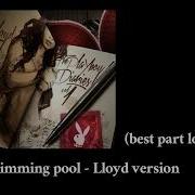 Swimming Pool Loop