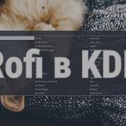 Rofi