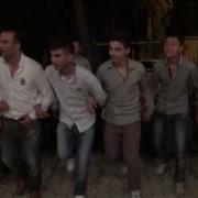 Aysane Haly