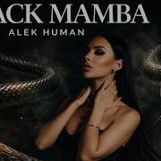 Alek Human