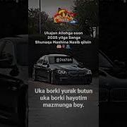 Укажон Тугилган Кун