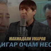Махмадали Умар Модар 2025