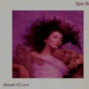 Kate Bush Burning Bridge