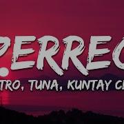 Quentro Perreo