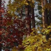 Когда Мы Пели Про Любовь Арсений Якшиянц