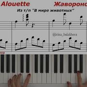 В Мире Животных На Синтезаторе