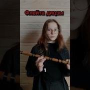 Дудка Японская