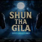 Sivo Grastoro
