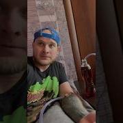 Donov Com