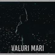 Valuri Mari
