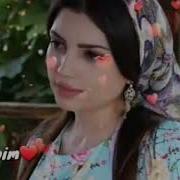 Терма Классик Кушиклар