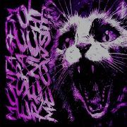 Montagem Espaco Renicht Mega Slowed