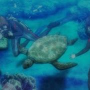 Grand Blue Op
