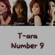 T Ara Number 9