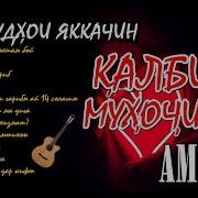 Калби Мухочир