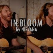In Bloom Nirvana Acoustic Cover