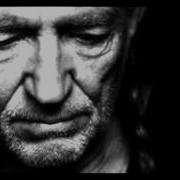 The Scientist Willie Nelson
