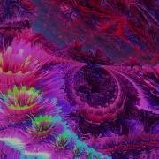 Inzo Spectrum