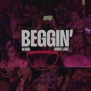 Aluna Beggin Extended
