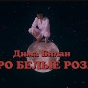 Dima Bilan Pro Belie Rozi