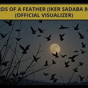 Koki Birds Of A Feather
