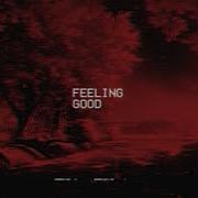 Feeling Good Tik Tok