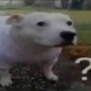 Huh Meme