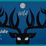 Wild Side Remix