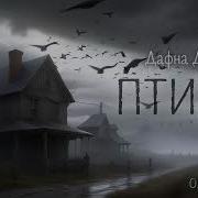 Птицы Дю