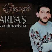 Elcin Qardas Demisem