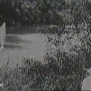 Lpfjj5Wclew