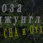 Проливной Дождь