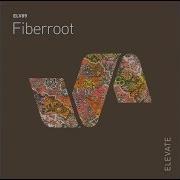 Fiberrot Greasy