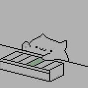 Bongo Cat Meme