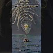 Опасные Опасные