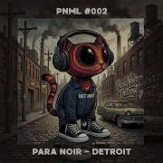 Para Noir Detroit