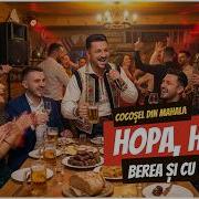 Hopa Hopa Berea Și Cu Vodca Cocoșel Din Mahala Vladymix