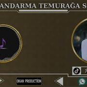 Kasap Jandarma