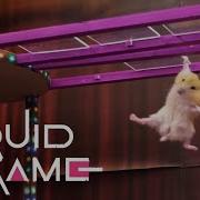 Hamster Break Game