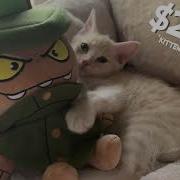 Bbp Fantoccio Plush