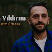 Yarim Gitti Ormana