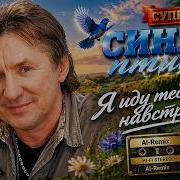 Виа Синяя Птица Я Иду Тебе На Встречу Ai Cover