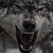 Не Стал Как Вы Alpha Suno