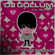 All The Things She Said Remix