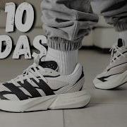 Sepatu Adidas New