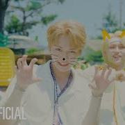 Surfin Skz